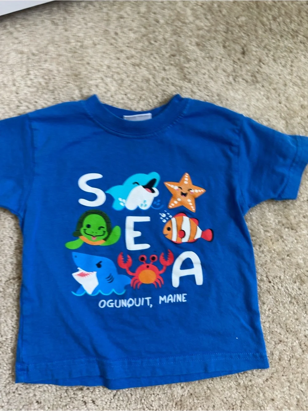 Kids' Boys 24mo top bundle